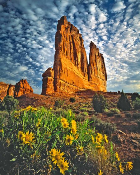 arches national park courthouse towers and mulesears tom till