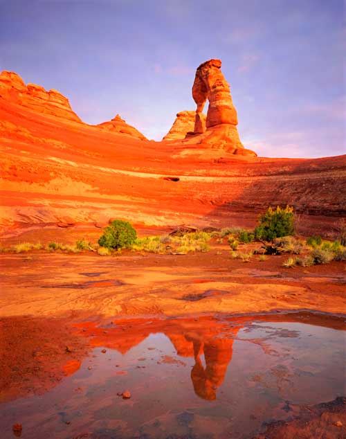 delicate arch reflection tom till