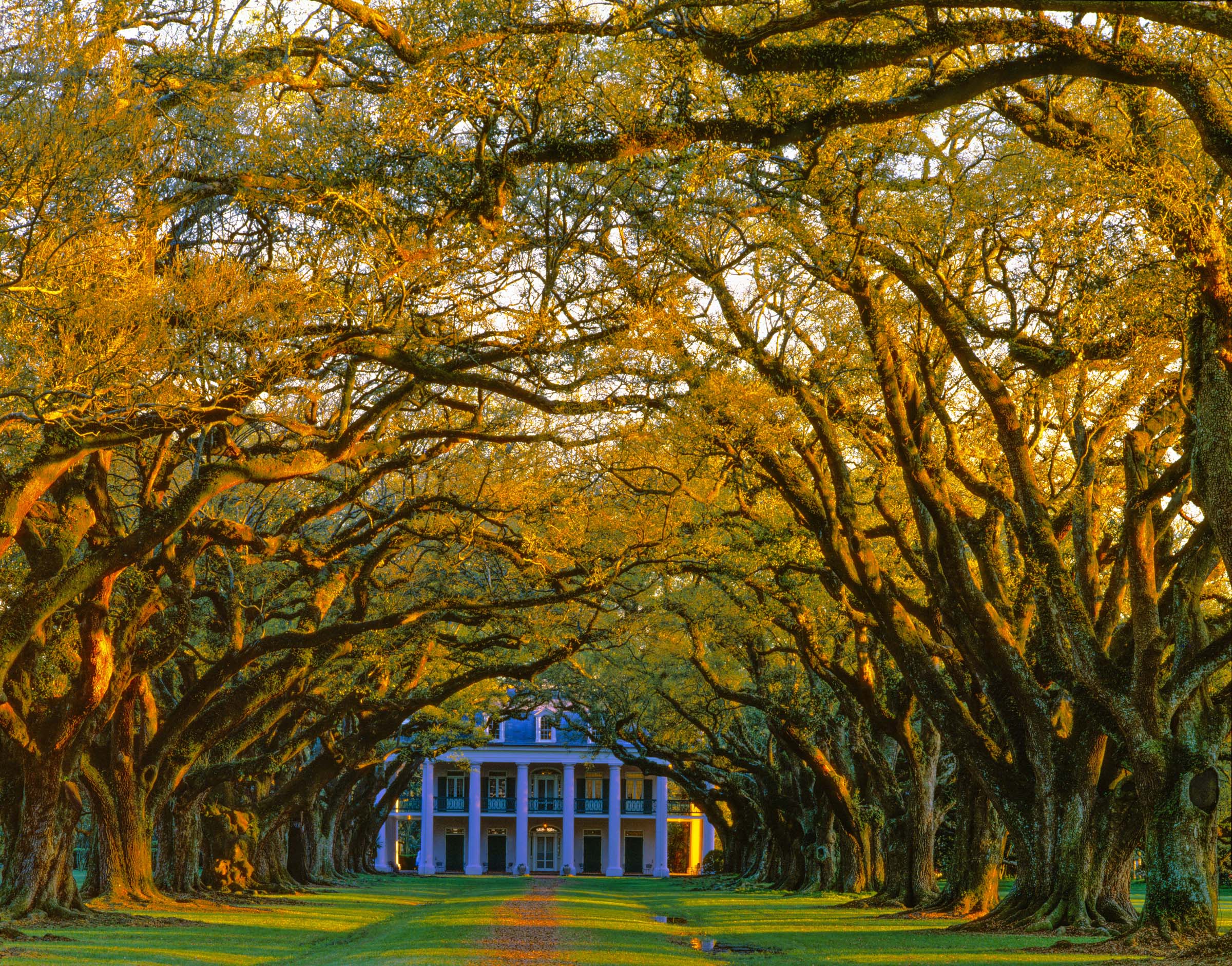 Oak Alley Mansion, Mississippi River, Louisiana, Antebellum Mansion photographed by Tom Till
